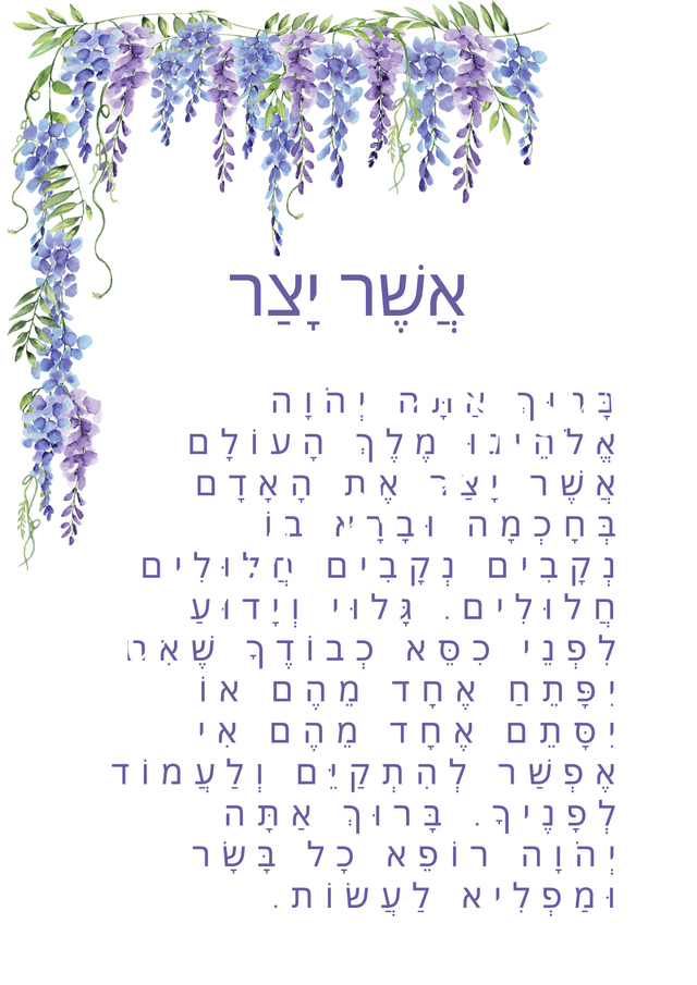 A Touch of Flowers - Grapevine Glory - Hebrew.png