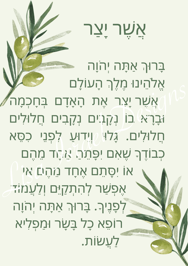 A Touch of Leaves - Olive Branches - Hebrew.png