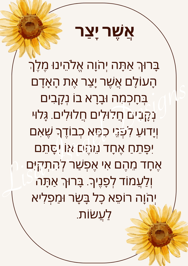 A touch of flowers - Sunflower Symphony - Hebrew.png