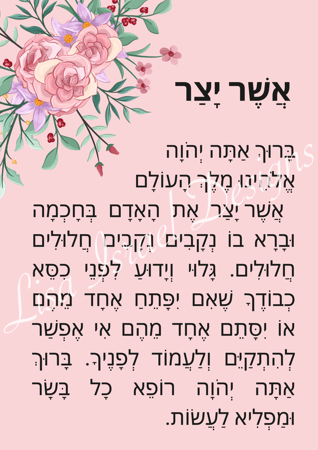 Large Flowers - Powder Pink - Hebrew.png