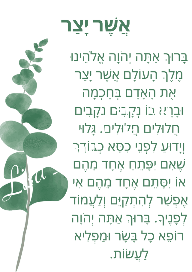 Simple - Leafy Delight - Hebrew.png