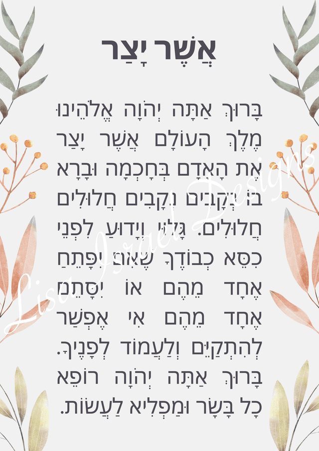 Small Leaves - Soft Leaflets - Hebrew.png